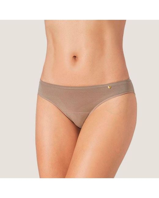 Zd - Zero Defects Gray Venus Mini Brief – Comfortable Fit & Skin-Friendly Soy Fiber