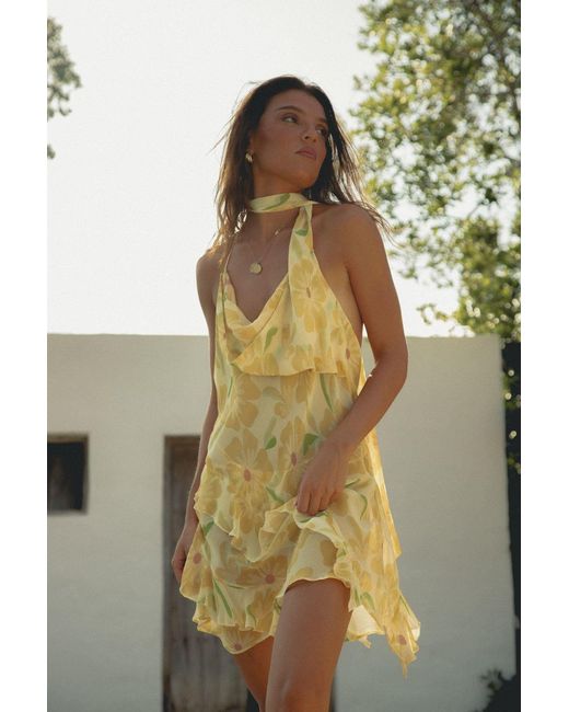 Wild Lovers Metallic Sundance Dress