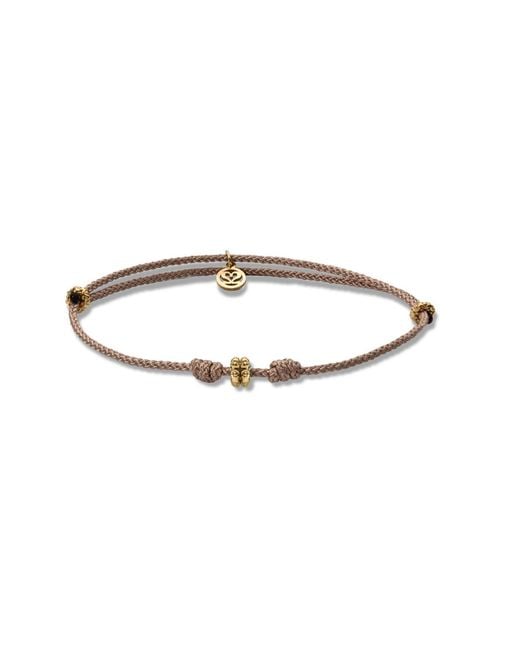 Tvento Brown The Ruplets Arena Bracelet