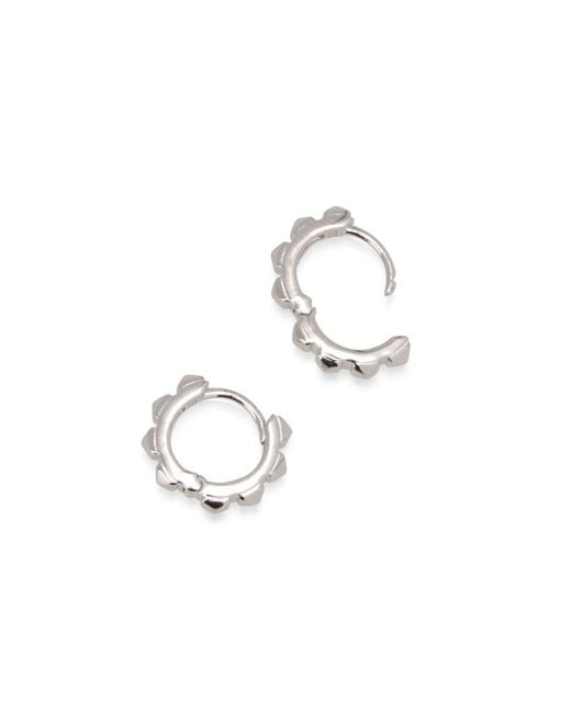 Dolcetto Designs Metallic Cestius Earring