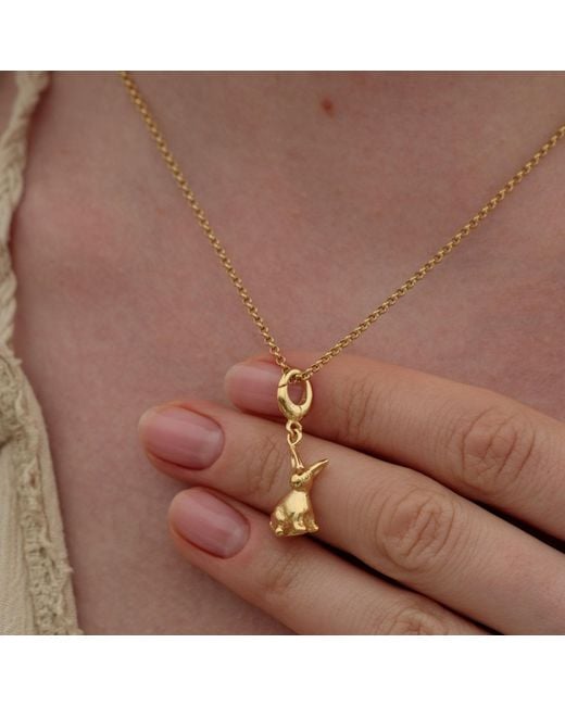 Lily Charmed Metallic Plated Rabbit Charm Necklace