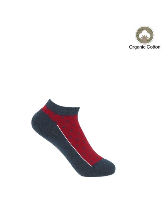 Peper Harow - Made in England Red Organic Trainer Socks Bundle – Burgundy