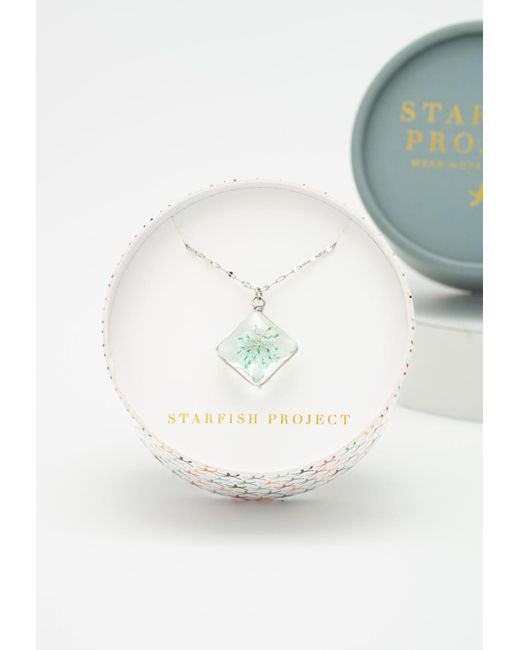Starfish Project Blue Forever