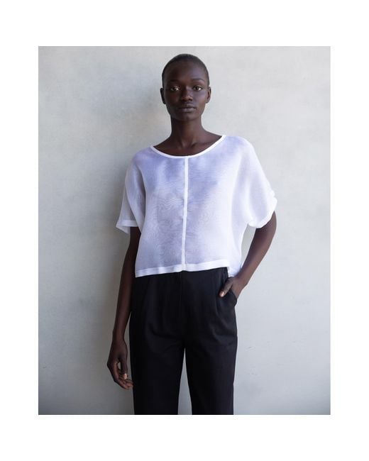 By Noa Rawitz Blue Silk Organza Boat Neckline Dolman Short Sleeves Top