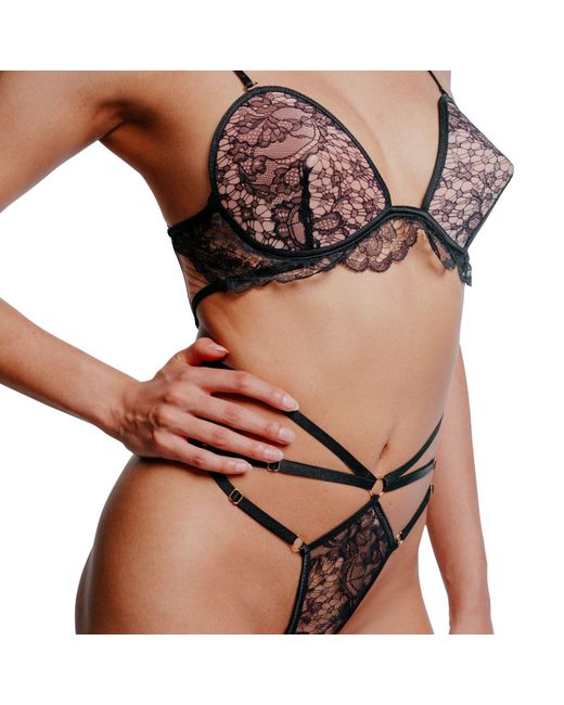 Perilla Lingerie Brown Madone Bra
