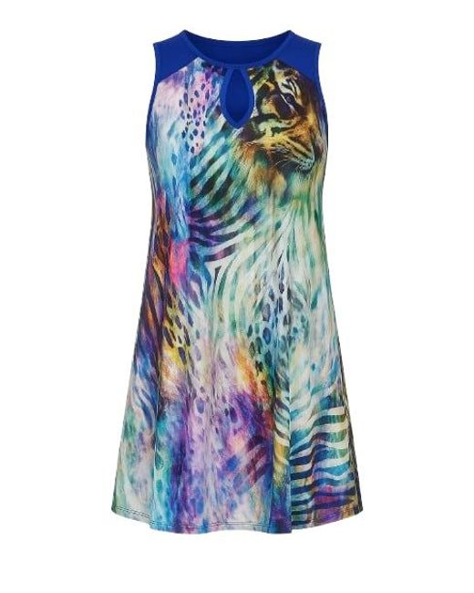 Conquista Blue A-Line Print Dress