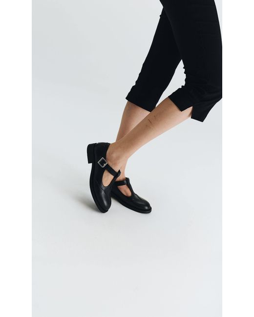 PREVU Black Rosa