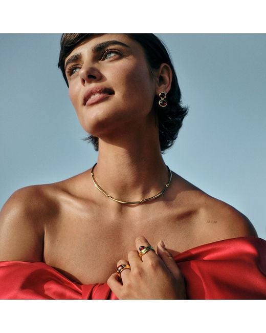 Stone Fruit Metallic Clavicle Necklace