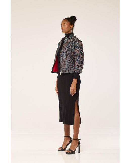 Lioness by Tf Gray The Peacock Jacket