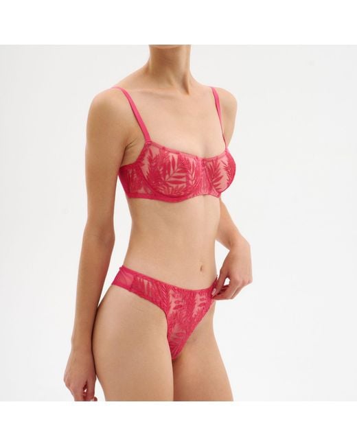 Daily Underwear Pink String Panties Flamingo