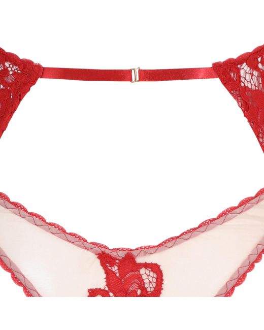 Belle -et-BonBon Red Valentina Bright Cherry Lace Body Valentines Gift Wrapped