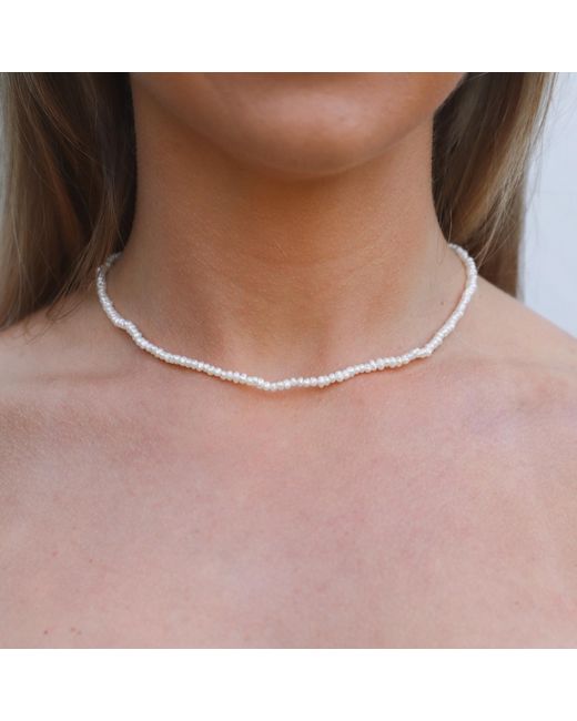 Kiri & Belle Metallic Lia Mini Freshwater Pearl Sterling Necklace