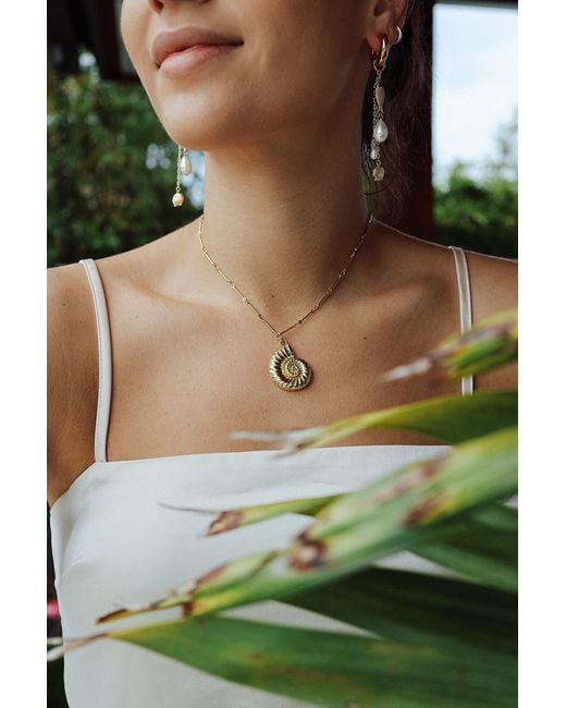 Adriana Pappas Designs Metallic Golden Nautilus Necklace