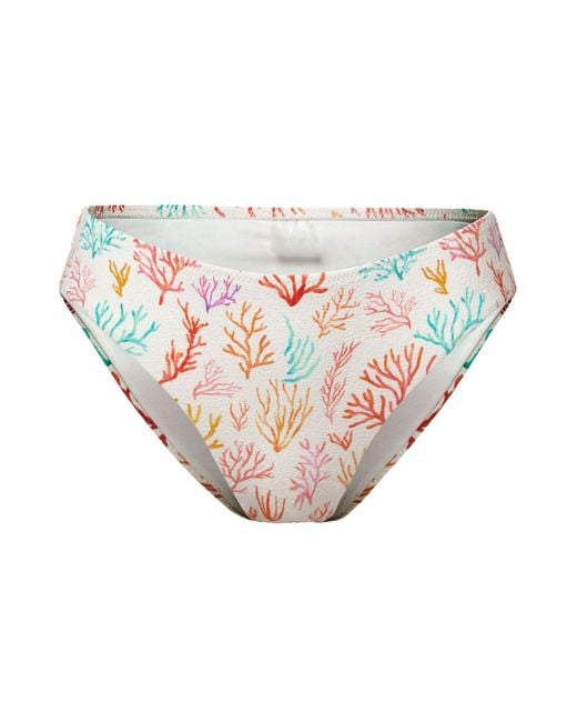 Aqva Swimwear White Coral Print Salinas Bikini Bottom