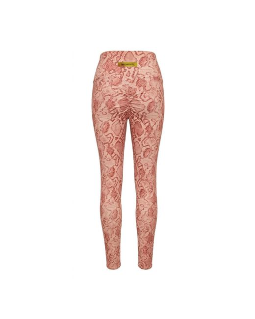 Befitnesslou Orange Coral Snake Legging
