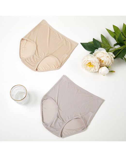 Soft Strokes Silk Natural Neutrals Set Of Two Knitted Silk Mid Rise French Cut Pantie Shimmer Collection