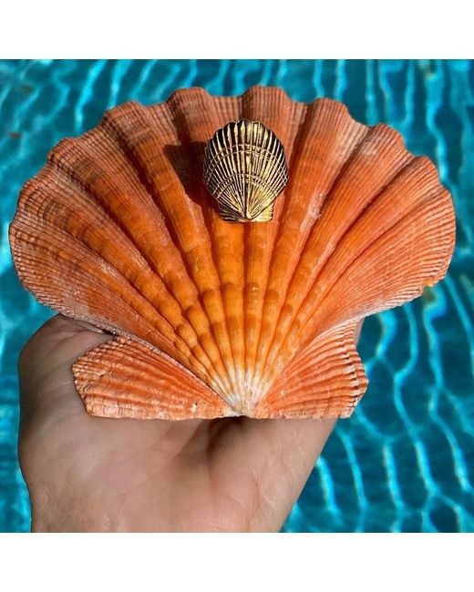 Lexi Jewelry Yellow Scallop Shell Ariel Ring