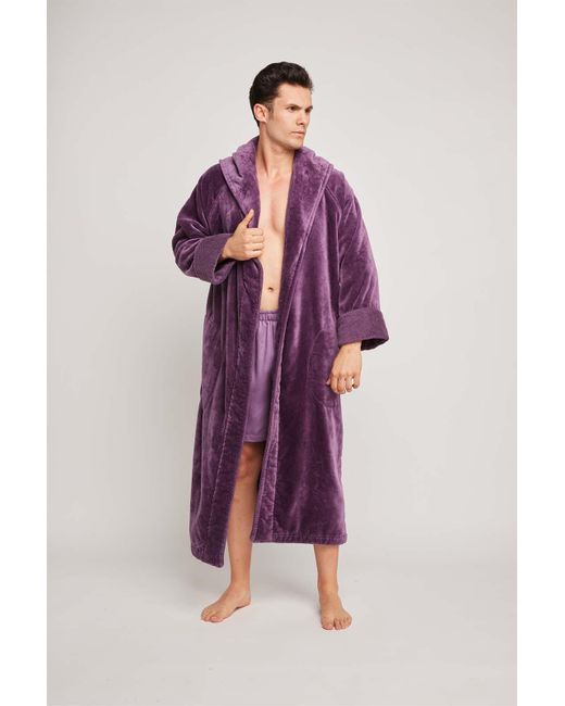 Pasithea Sleep Purple Organic Cotton Hooded Robe In Aubergine for men