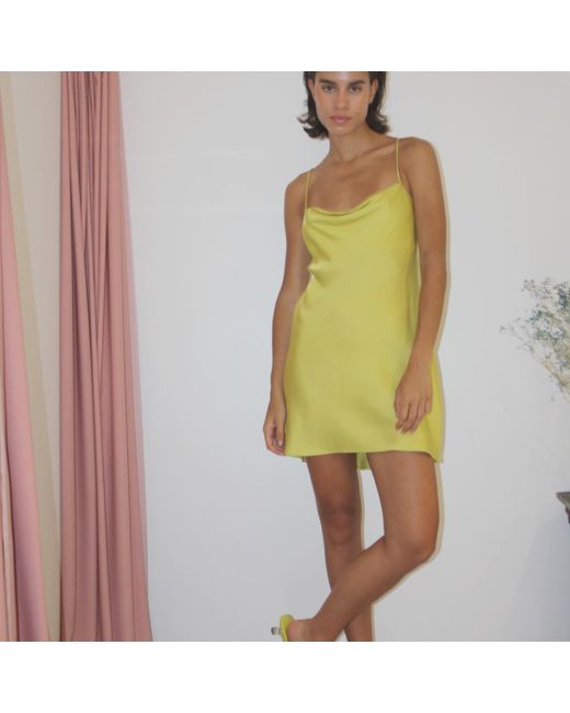 Roses Are Red Yellow Mini Slipdress