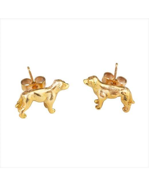 Simon Kemp Jewellers Metallic Golden Labrador Stud Earrings Eighteen Carat On Solid Sterling