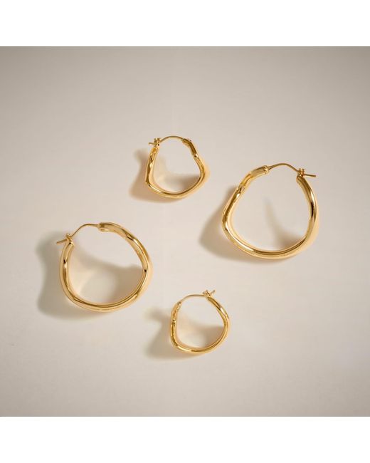 Potoska Metallic Curved Mini Hoop Earrings