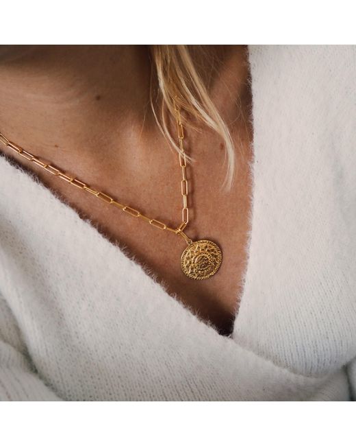 Coco & Kinney Metallic Long Robin Chain In Gold