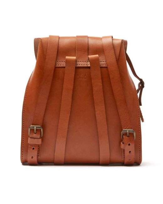 THE DUST COMPANY Brown Leather Backpack Tribeca Collection