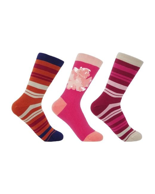 Peper Harow - Made in England Red Socks Bundle – Pinky