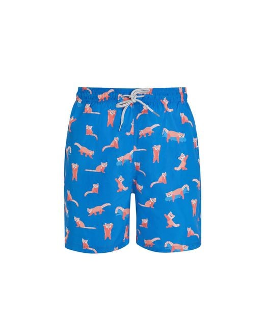Robert & Son Blue Panda Swim Shorts for men