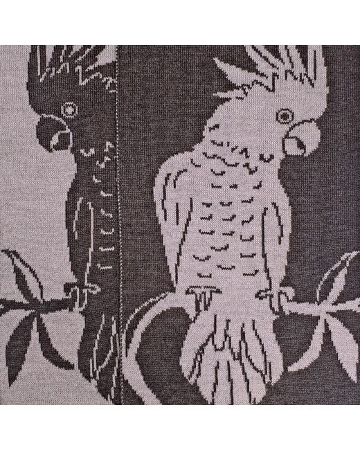 Otto & Spike Gray Scarves for men