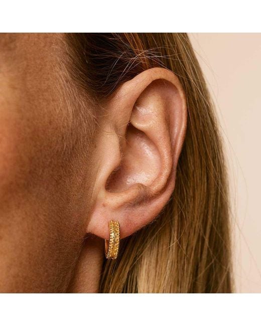 Charlotte's Web Jewellery Metallic Rania Huggie Hoop Earrings