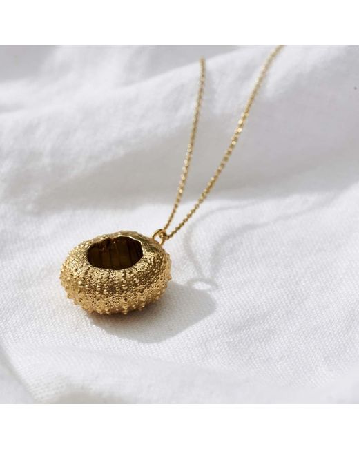 Posh Totty Designs Metallic Sea Urchin Necklace for men