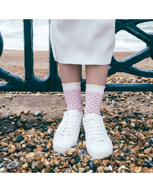 Peper Harow - Made in England Pink Pin Polka & Luxury Crew & Trainer Socks Bundle