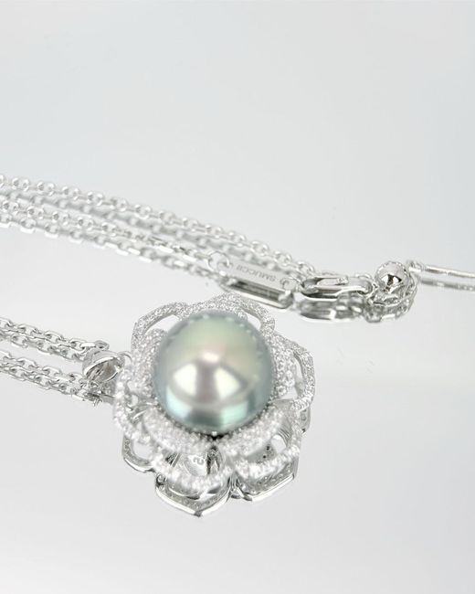 Smuccii White Celene
