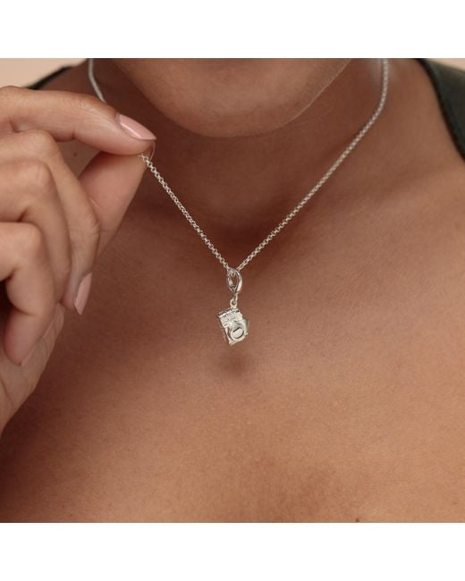Lily Charmed Metallic Sterling Vintage Camera Charm Necklace