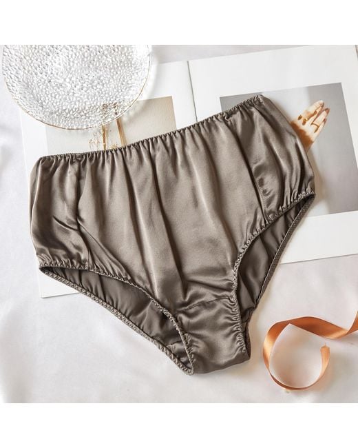 Soft Strokes Silk Gray Set Of Two Pure Mulberry Silk French Cut Panties