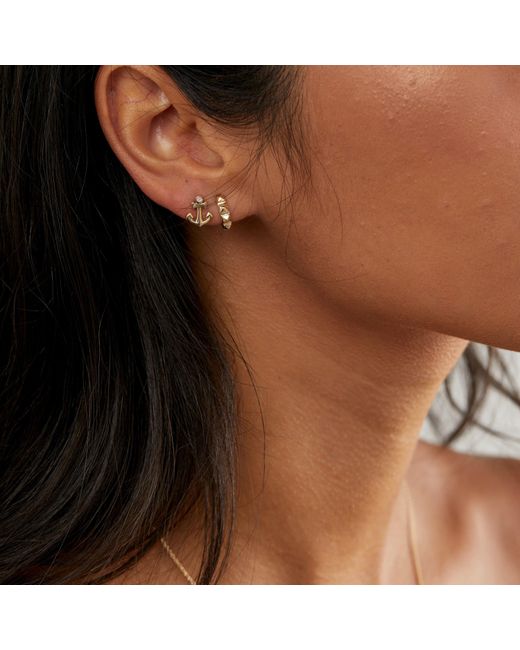Dolcetto Designs Metallic Cestius Hoop Earring