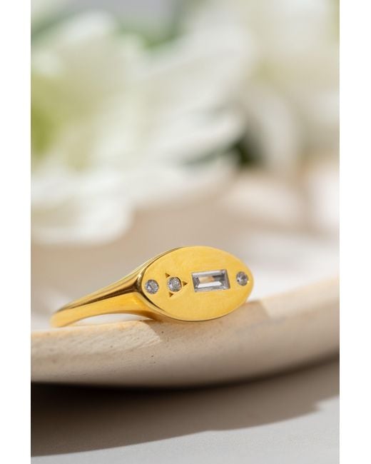 Zynnia Collective Metallic Signet Ring