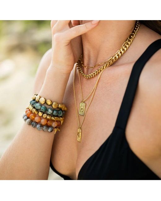 Rachel Nathan Metallic Perfect Curb Necklace