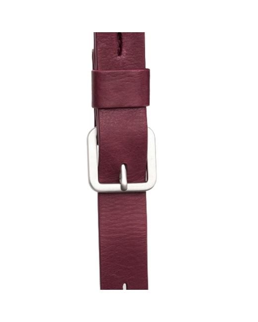 Écotorie Purple Dora