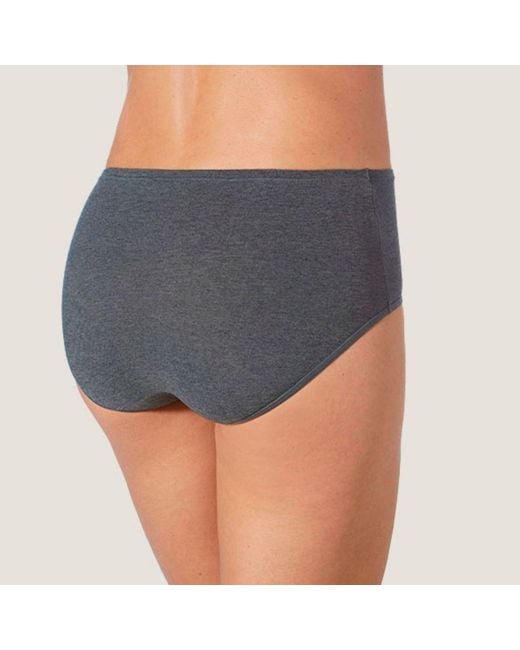 Zd - Zero Defects Blue Atenea High-Waist Brief – Stylisht Fit & Comfort With Soy Fiber