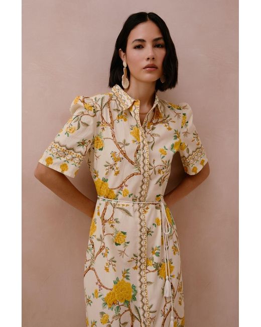 Raishma Metallic Miranda Dress
