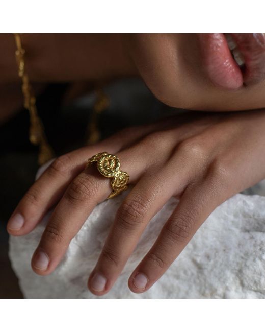 EVA REMENYI Metallic Nautilus Chunky Ring