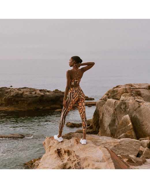 Befitnesslou Brown Leopard Animal Print Legging