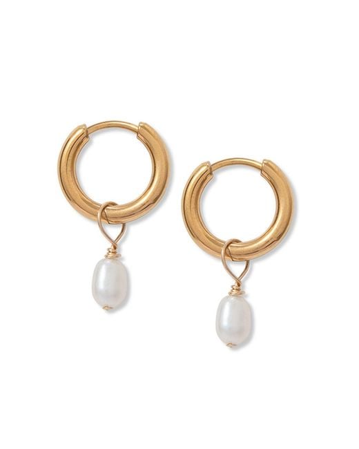 A Weathered Penny Metallic Tiny Pearl Hoops