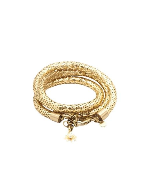 Sita Nevado Brown Antoine Necklace