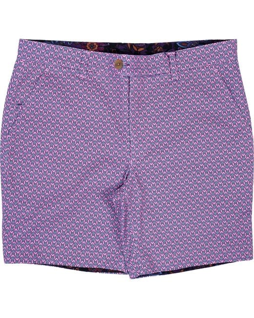 Lords of Harlech Purple John Large Turtle Short for men