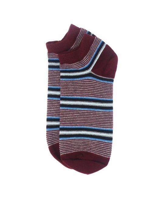 Peper Harow - Made in England Red Block Stripe Fire & Multistripe Burgundy Trainer Socks Bundle for men
