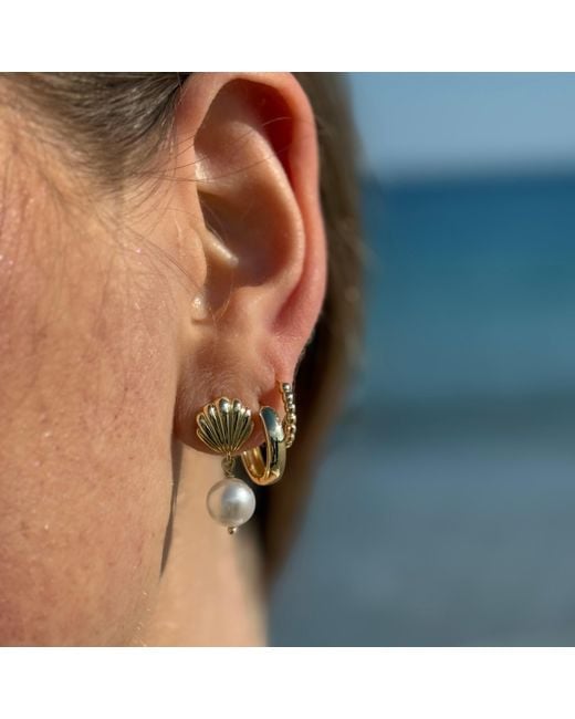 Nazzar Metallic Shell Pearl Dangle Earring