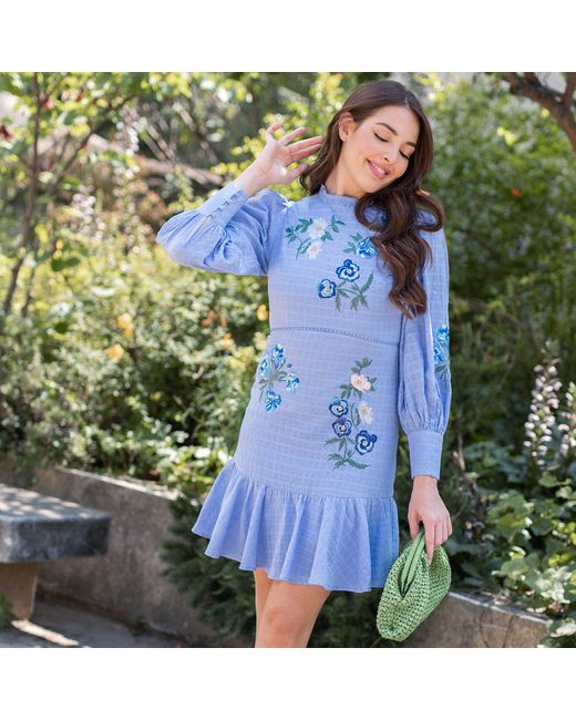 Hope & Ivy Blue The Monnie High Neck Embroidered Long Sleeve Mini Dress